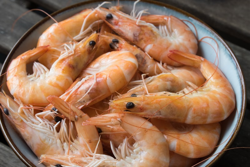 Hurricane Shrimp